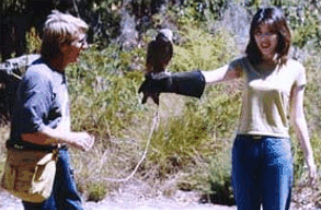 Eagles Heritage Raptor Wildlife Centre - Accommodation VIC 2