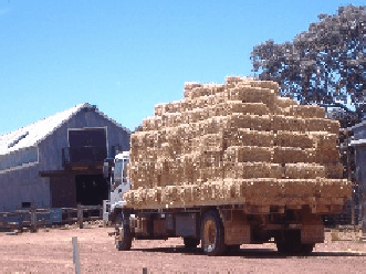 Avondale Discovery Farm - Accommodation VIC 1