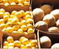 Brisbane Markets - Accommodation VIC
