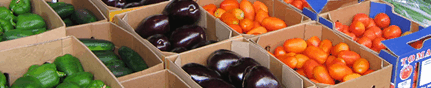 Brisbane Markets - Accommodation VIC 3