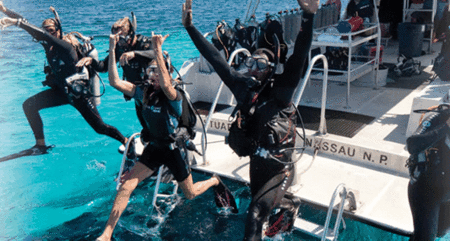 Snorkel Safari Brisbane - Accommodation VIC 0