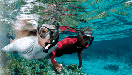 Snorkel Safari Brisbane - thumb 1
