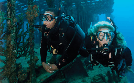 Snorkel Safari Brisbane - Accommodation VIC 2