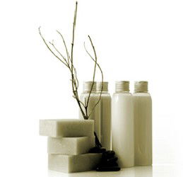 Brighton East VIC Accommodation VIC