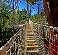 Thunderbird Park - Accommodation VIC