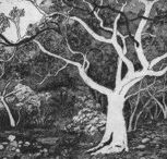 Tacit Contemporary Art - Accommodation VIC