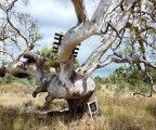Colour Factory Gallery - Accommodation VIC 3