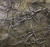 Hawthorn East VIC Accommodation VIC