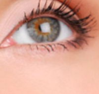 Cinnamon Stix Hair  Day Spa - Accommodation VIC