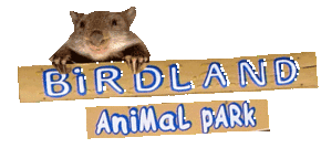 Birdland Animal Park - Accommodation VIC