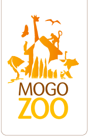 Mogo Zoo - Accommodation VIC 0