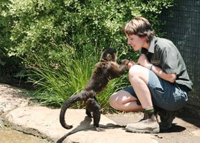 National Zoo & Aquarium - Accommodation VIC 1