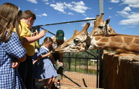 National Zoo & Aquarium - Accommodation VIC 2