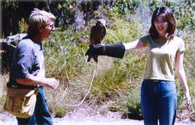 Eagles Heritage - Accommodation VIC 2