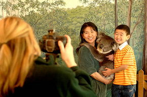 Cleland Wildlife Park - Accommodation VIC 2