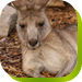 Calmsley Hill City Farm - Accommodation VIC 0