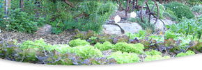 Calmsley Hill City Farm - Accommodation VIC 1