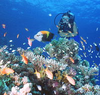 Drop Zone Dive Site - Accommodation VIC