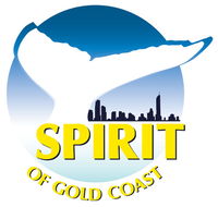 Spirit of Gold Coast Whale Watching - Accommodation VIC