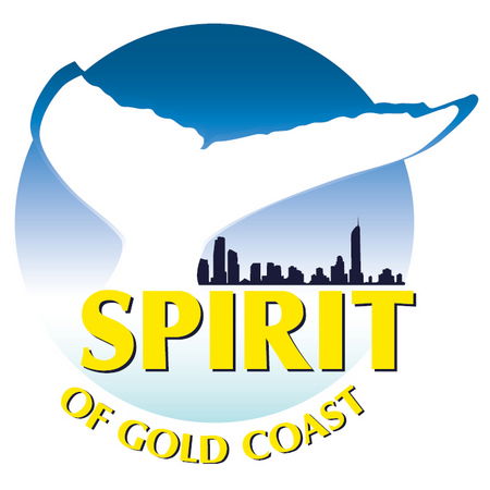 Spirit Of Gold Coast Whale Watching - Accommodation VIC 0