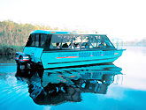 Noosa Everglades Discovery - Accommodation VIC 1