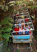 Scenic World Blue Mountains - Accommodation VIC 2