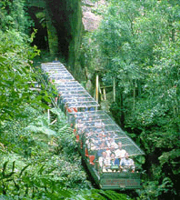 Scenic World Blue Mountains - Accommodation VIC 3