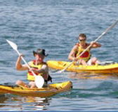 Manly Kayaks - Accommodation VIC