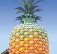 The Big Pineapple - Accommodation VIC