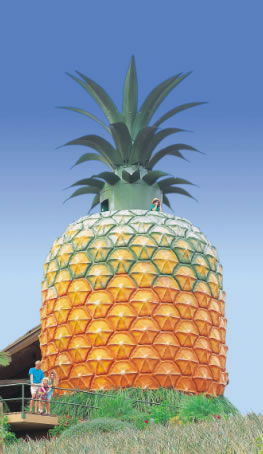 The Big Pineapple - Accommodation VIC 0