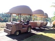 The Big Pineapple - Accommodation VIC 2