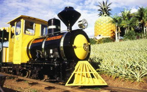 The Big Pineapple - Accommodation VIC 3