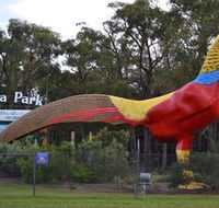 Gumbuya Park - Accommodation VIC