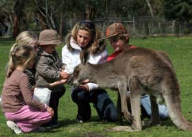 Gumbuya Park - Accommodation VIC 1