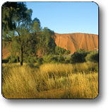 Uluru - Kata Tjuta National Park - Accommodation VIC 0
