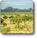 Uluru - Kata Tjuta National Park - Accommodation VIC 2