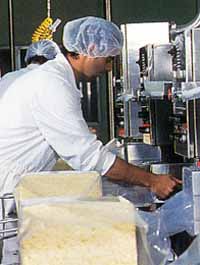 Allansford Cheese World - Accommodation VIC 1