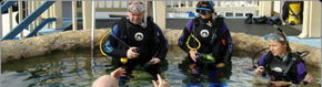 Scuba World - Accommodation VIC 2