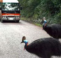 Kookaburra Tours - Accommodation VIC