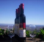 Mount Tamborine Winery  Homestead - Accommodation VIC