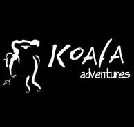 Koala Adventures - Accommodation VIC