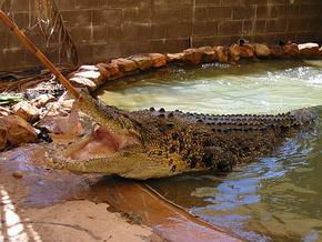 Boodarie WA Accommodation VIC