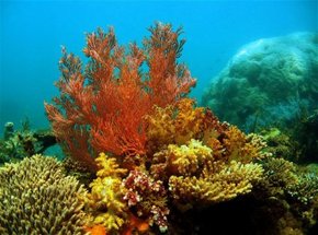 Exmouth WA Accommodation VIC