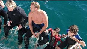 Dolphcom - Dolphin & Whale Swimming Adventures - Accommodation VIC 2