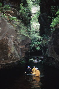 High And Wild Mountain Adventures - Accommodation VIC 1