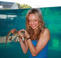 Crocosaurus Cove - Accommodation VIC