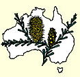 Australian National Botanic Gardens - Accommodation VIC