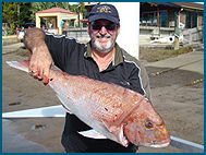 Odyssey Charters - Accommodation VIC 1