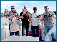 Odyssey Charters - Accommodation VIC 2