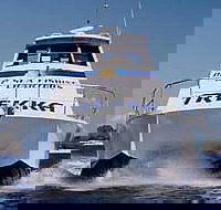 Sunshine Coast Fishing Charters - Accommodation VIC